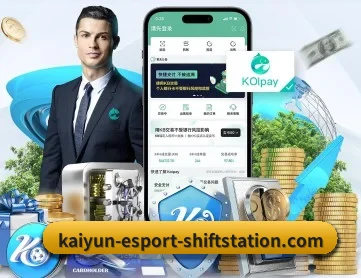 开云体育登录入口 APP